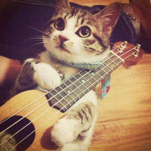 Pornhub国产在线观看明星挨脸
